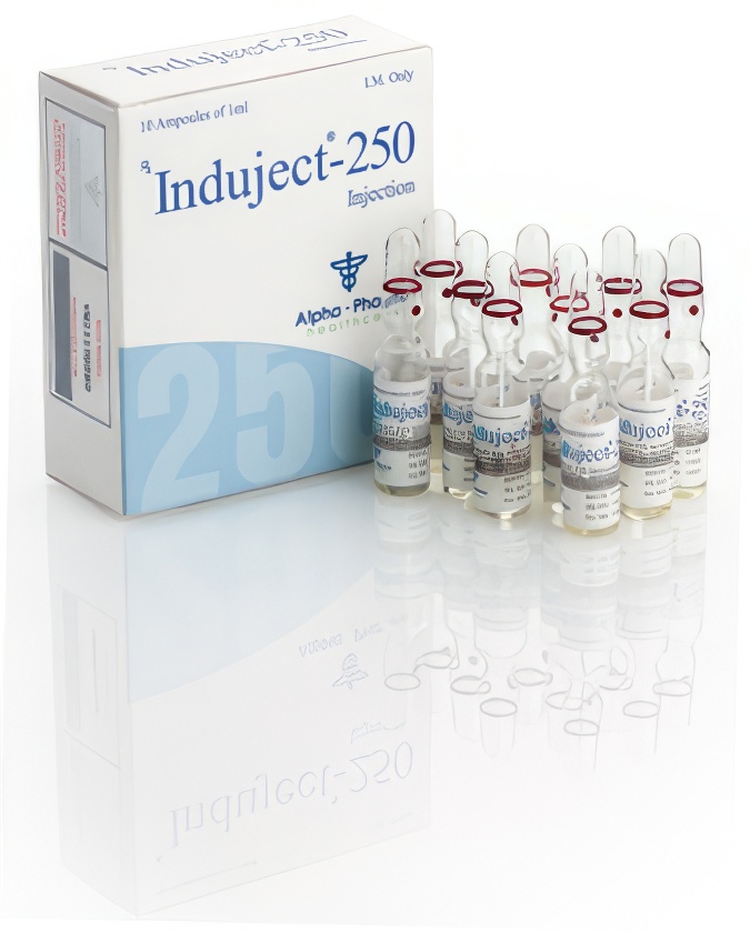 Induject-250 Testosterone Combination 250mg ampoules Alpha Pharma old Induject-250 Testosterone Combination 250mg ampoules Alpha Pharma old